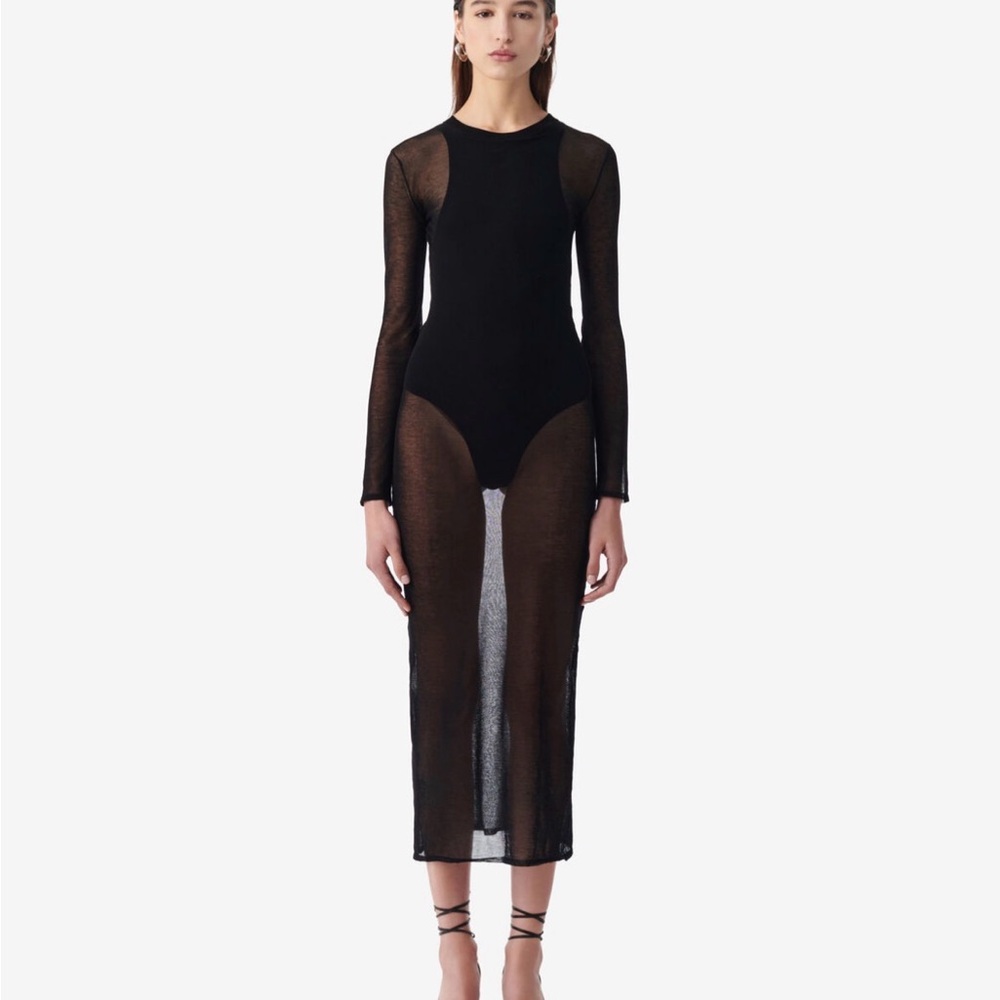 IRO Sheer Maxi Dress